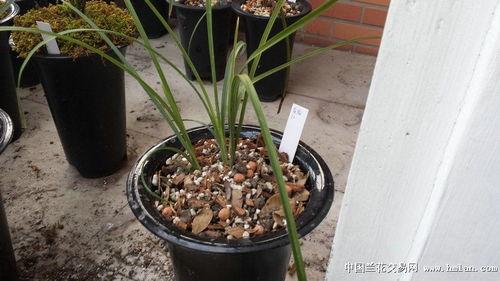 唐竹最新爆料,揭秘娱乐圈惊人内幕